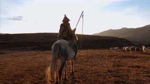 4k Authentic African herder, herding his sheep in the African grasslands with a Stock Footage 199616268
