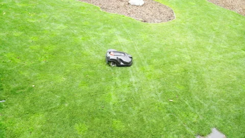 4K Automatic grass trimmer moving on green lawn mowing grass Stock-Footage 142465844