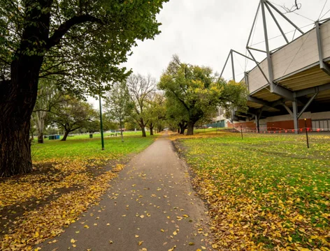 4K, autumn fall, walking in the park of Melbourne, Stock Footage 38822991