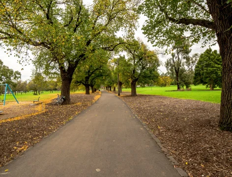 4K, autumn fall, walking in the park of Melbourne, Stock Footage 38831759
