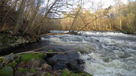 4K autumn flooded stream with lots of water filmed in Sweden with sunlight Stock Footage 47273681