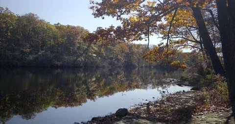 4K Autumn foliage landscape with reflection on the calm river water surface Stock Footage 165167231