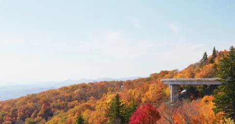 4K Autumn foliage on a mountainside with elevated road overlooking the Blue Stock Footage 220753371