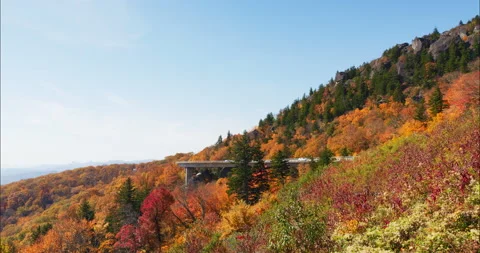 4K Autumn foliage on a mountainside with elevated road overlooking the Blue Stock Footage 220898004