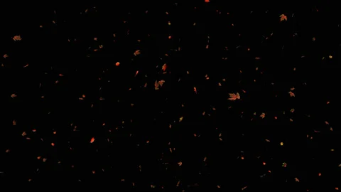 4k Autumn Leaf Fall Alpha Channel 2 Vídeos de archivo 116252356