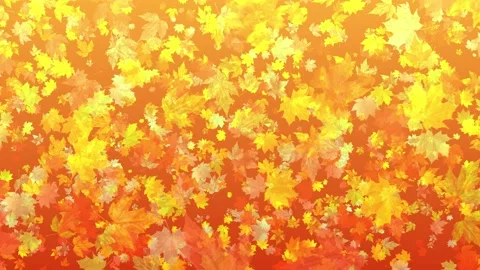 4k Autumn Leaf Fall Background 1 Stock Footage 116246663