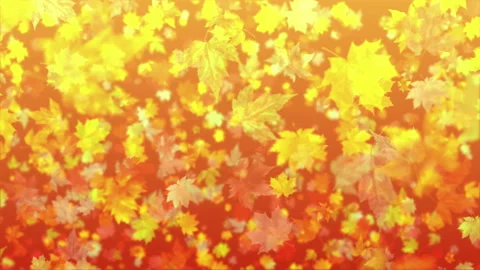 4k Autumn Leaf Fall Background DOF Video stock 116657088