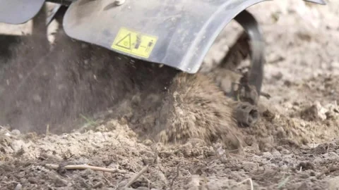 4K B-Roll Powerful Tiller Blades Churning Dry Clumpy Soil Outdoors Garden B.. Stock Footage 334583116