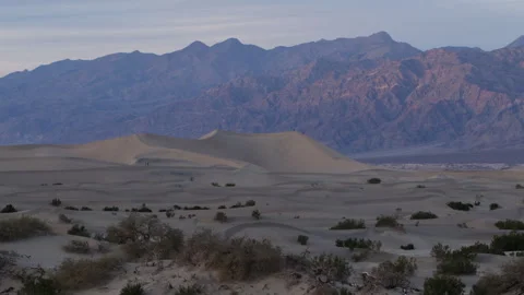 4K Backdrop of distant visitors on the Mesquite sand dunes in Death Valley Stock Footage 264005499