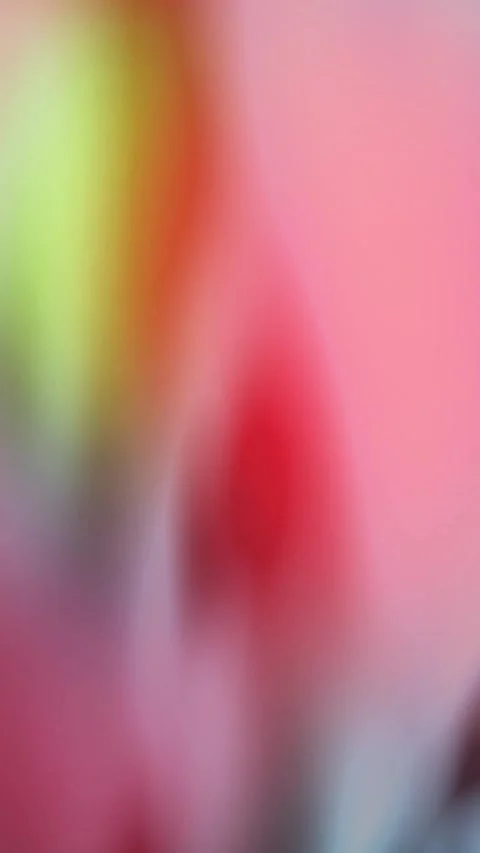 4K Background Abstract Loop Video Pattern Motion Light Animation Bokeh Effect Stock Footage 284632748