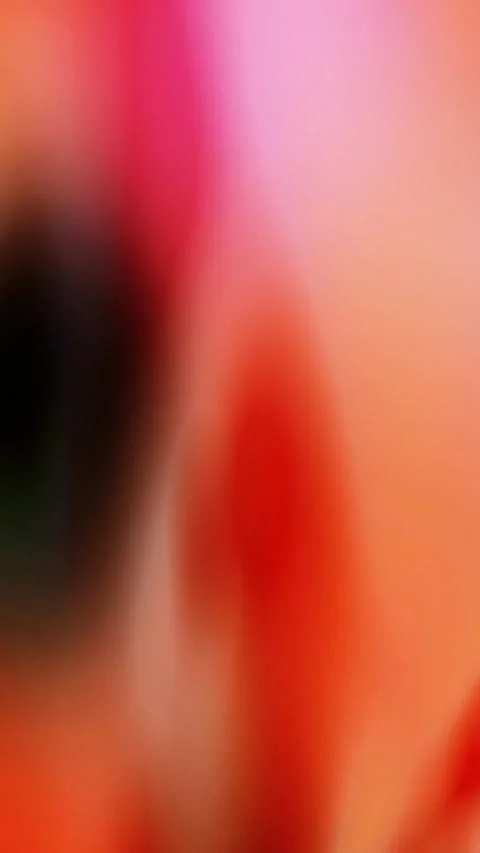 4K Background Abstract Loop Video Pattern Motion Light Animation Bokeh Effect Video stock 284633621