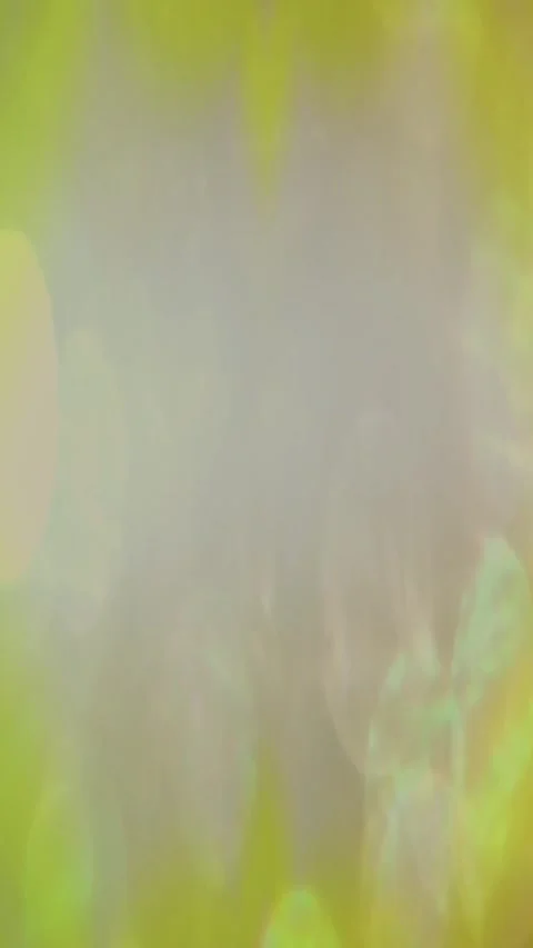 4K Background Abstract Loop Video Pattern Motion Light Animation Bokeh Effect Stock Footage 284638034