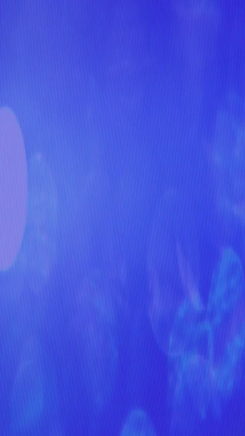4K Background Abstract Loop Video Pattern Motion Light Animation Bokeh Effect Video stock 284643886