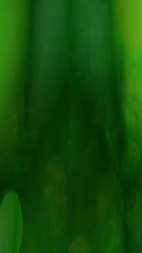 4K Background Abstract Loop Video Pattern Motion Light Animation Bokeh Effect Stock Footage 284654754