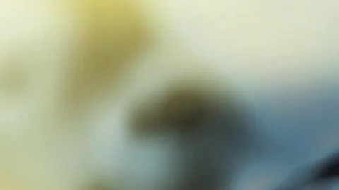 4K Background Abstract Motion Light Animation Bokeh Effect Loop Video Pattern Stock-Footage 284009727