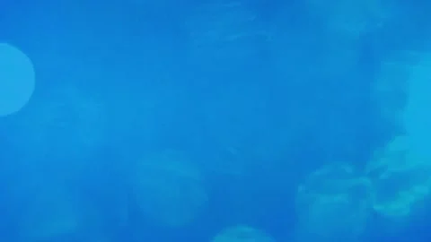 4K Background Abstract Motion Light Animation Bokeh Effect Loop Video Pattern Stock Footage 284022488