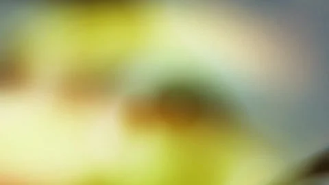 4K Background Abstract Motion Light Animation Bokeh Effect Loop Video Pattern Video stock 284022799