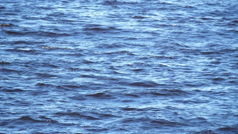 4K - Background of blue waves. Medium shot Video stock 141601621