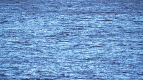 4K - Background of blue waves. Wide shot Video stock 141601628