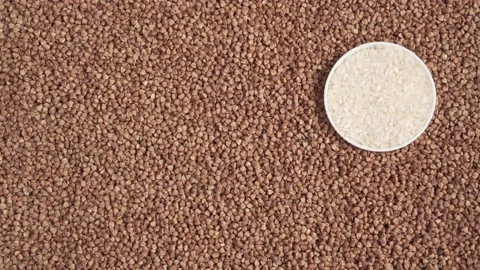 4K. Background of buckwheat. Fried buckwheat. Ingredient, product for the cook. Stock Footage 131184773