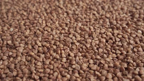4K. Background of buckwheat. Fried buckwheat. Ingredient, product for the cook. Video stock 131184905