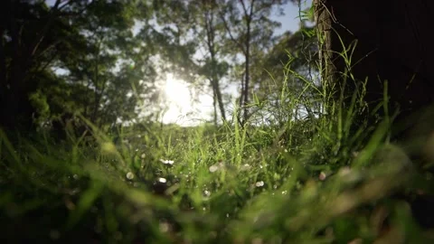 4K BACKGROUND Stock Footage 195476549