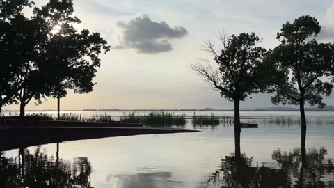 4K Backlight Sunset Trees Water Ripples Suzhou Stock Footage 345806612
