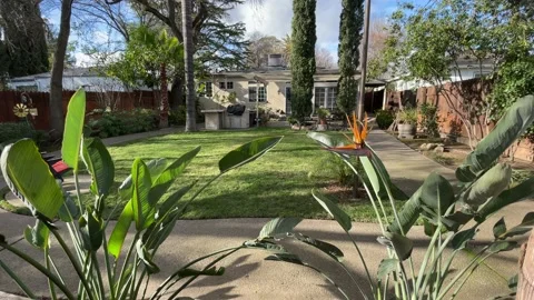 4K In the Backyard Stock Footage 147768720