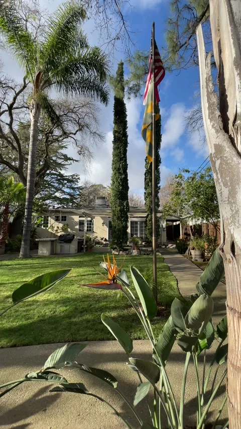 4K In the Backyard Stock Footage 147768789