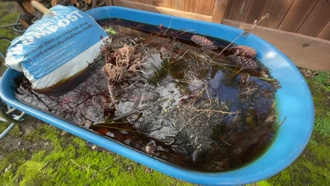 4K In the Backyard Stock Footage 147769274