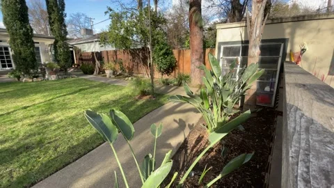 4K In the Backyard Stock Footage 147769295