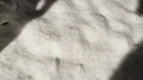 4K backyard thick snow in london 2022 Stock Footage 225401034