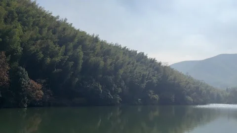 4K Bamboo Forest Lake Reflection Static Landscape Stock Footage 333893037