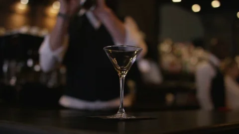 4K Bartender Prepares &amp; Serves A Fresh Cocktail For Customer Stock Footage 75739599