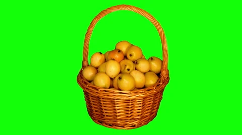 4k – Basket full of small garden pears Stock Footage 56567516
