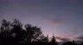 4k Bat flying around over backstreet city roofs after sunset 4k or 4k+ Resolution
