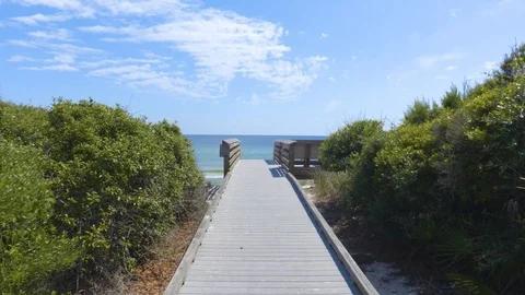 4K Beach Access Surrounded by Lush Plant Life Vidéo 107999363