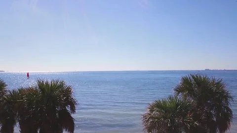 4k Beach, drone flyover palms, water, sunny 스톡 동영상 82804790