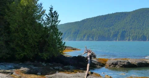 4K Beach Front Cabin, West Coast Ocean and Forest Stock Footage 51387960