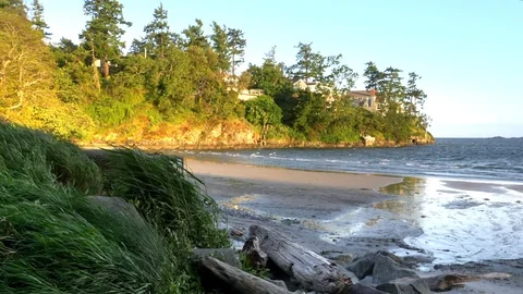 4K Beach Grass Blowing Slow Motion, Sea Storm Coast Nature Landscape Scene, Sea Stock Footage 77128619