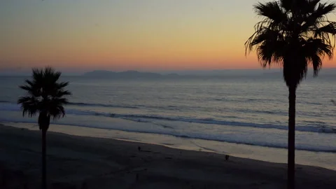 4K Beach Palm Tree Silhouettes with Coronado Islands in Distance Stock Footage 219661362