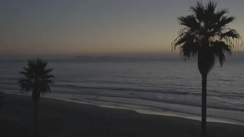 4K Beach Palm Tree Silhouettes with Coronado Islands in Distance 2 Stock Footage 219661453