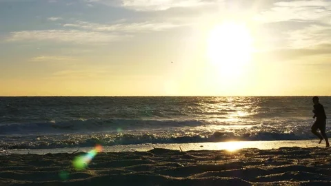 4K Beach Runner Running in Wake During Morning Sunrise in Florida Video stock 104411785