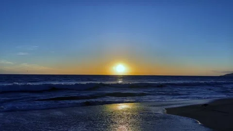 4K Beach at Sunset with bird (cool tones) Stock Footage 267140525