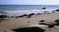 4K Beach Timelapse 03 Waves Ocean Tide 4k or 4k+ Resolution