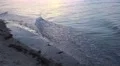 4k Beach waves with sunset reflection 4k or 4k+ Resolution