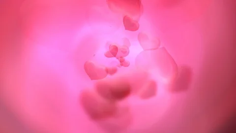 4k Beautiful background from different size hearts. Stock Footage 122361031