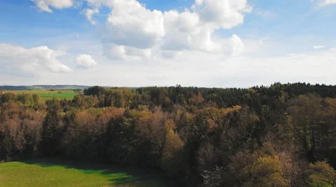 4K Beautiful forest in autumn - fall Stock Footage 63114286