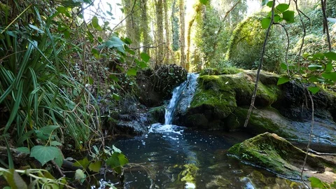 4K Beautiful image of a waterfall in a mountain stream Stock Footage 92903406
