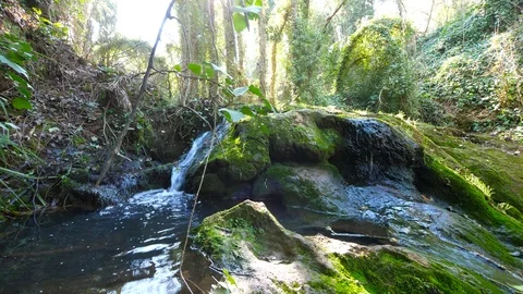4K Beautiful image of a waterfall in a mountain stream Stock Footage 92903465